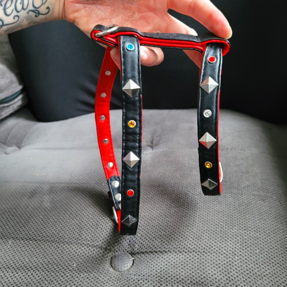 ⭐Gem & Stud Harness⭐